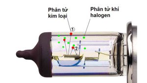 nguyên lý hoạt động đèn halogen