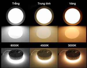 Các loại ánh sáng chiếu sáng
