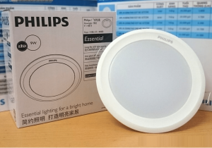 den led am tran philip